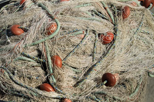 Jak správně čistit rybářské vybavení pro lepší úlovky?